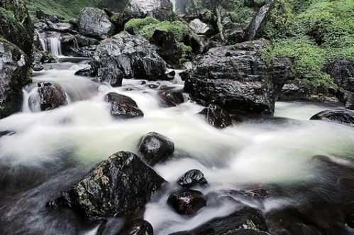 走进高黎贡山热带雨林感受自然魅力 穿阴阳谷泡冷热泉 