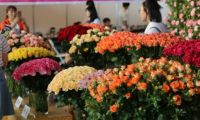 第十八届中国昆明国际花卉展圆满落幕