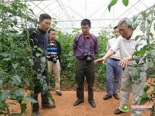 图片其版权均归原作者所有，未经许可严禁转载或建立镜像，如需转载，请与作者或本站联系