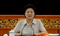 刘延东副总理出席全国打赢教育脱贫攻坚战现场会