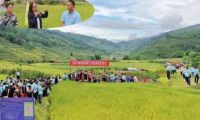 体系岗位专家（澜沧）举办优质水稻现场培训