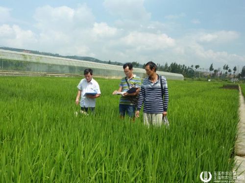 图片其版权均归原作者所有，未经许可严禁转载或建立镜像，如需转载，请与作者或本站联系