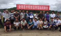 勐海县水稻新品种现场观摩会在勐遮召开