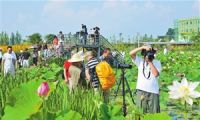 生态农业带火澄江乡村旅游