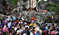 云南石林成暑期旅游热点 每天接待游客3万人