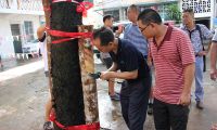 勐腊县天然橡胶产业体系试验站建设橡胶实用技术培训