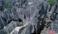 云南石林怪石嶙峋风景如画