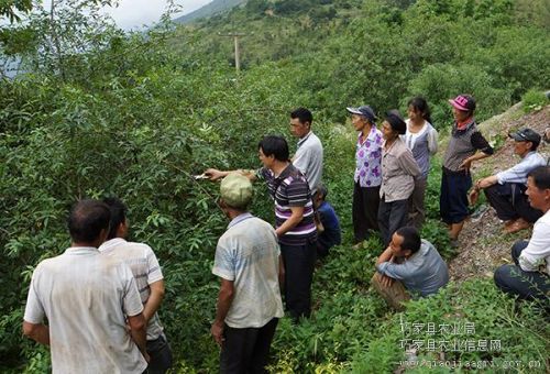 图片其版权均归原作者所有，未经许可严禁转载或建立镜像，如需转载，请与作者或本站联系