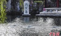 “天下第一泉”趵突泉连续喷涌14年 “济南泉·城文化景观”将申遗