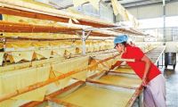 云南开远豆制品年产值2.5亿元