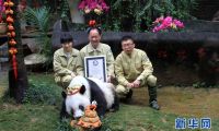 “巴斯”走了，这只值得纪念的大熊猫为我们贡献了什么？