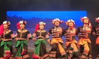 《云南映象》辉映多瑙河 云南文化艺术团匈牙利首演成功