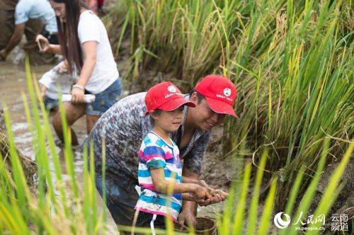 大人小孩齐上阵 人民网 薛丹 摄