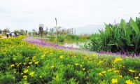 星海半岛湿地公园试开放 可近观盘龙江远眺睡美人