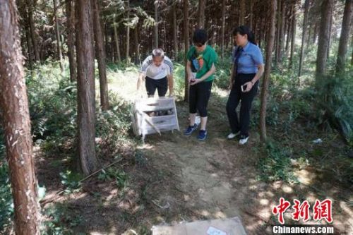 衡铁公安打掉一野生动物非法运输团伙