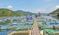 云南罗平成为农业部渔业健康养殖示范县