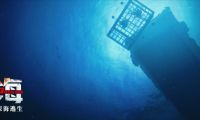 电影《鲨海》定档 首款预告暗藏深海鲨机